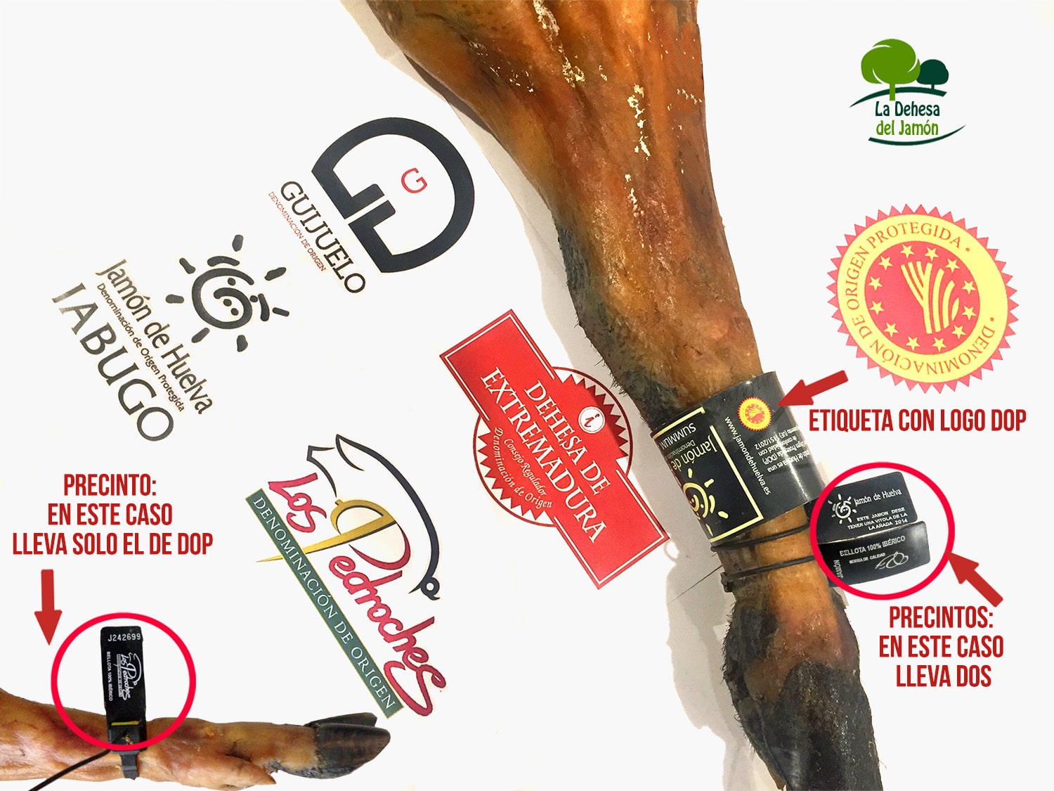 como identificar un buen jamón ibérico